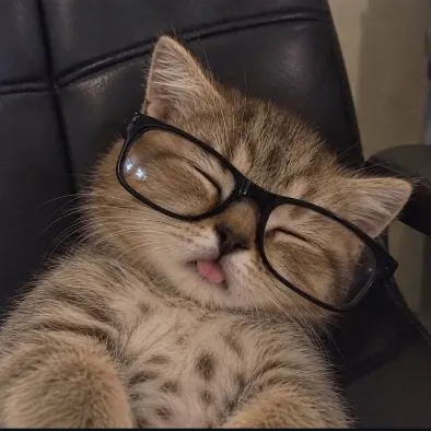 a kitten wearing glasses, asleep in a chair
